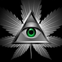 https://t.me/ubiquitous_seeds